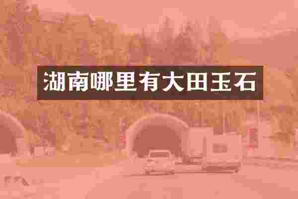 湖南哪里有大田玉石