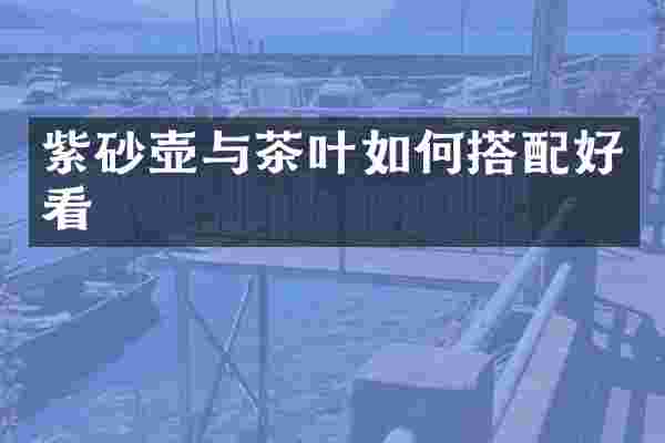 紫砂壶与茶叶如何搭配好看