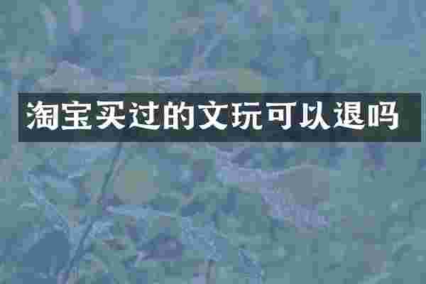 淘宝买过的文玩可以退吗