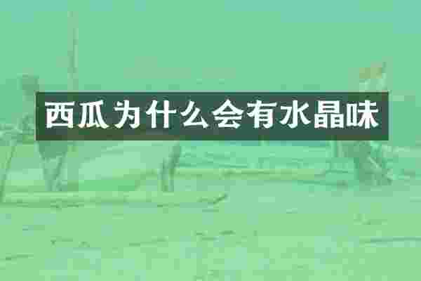 西瓜为什么会有水晶味