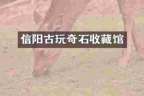 信阳古玩奇石收藏馆