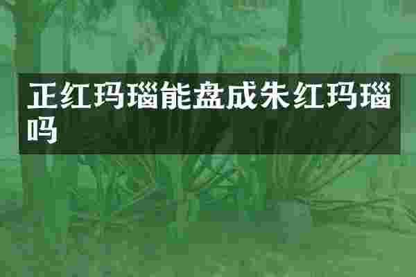 正红玛瑙能盘成朱红玛瑙吗