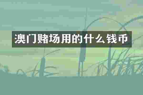 澳门用的什么钱币