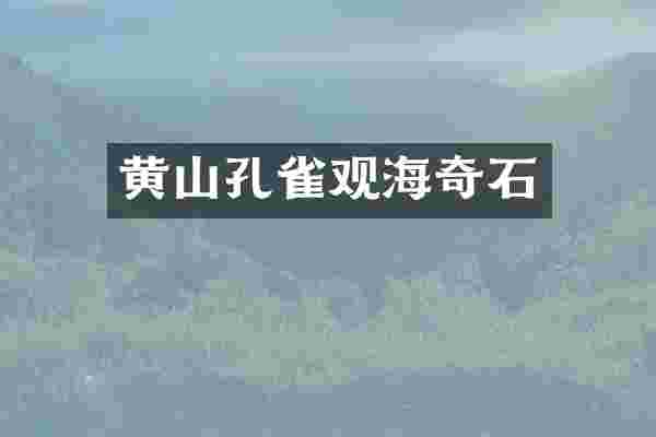 黄山孔雀观海奇石