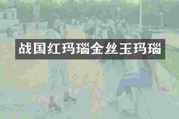 战国红玛瑙金丝玉玛瑙