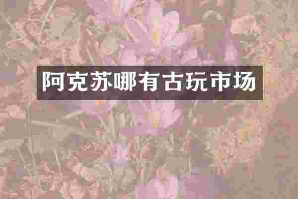 阿克苏哪有古玩市场