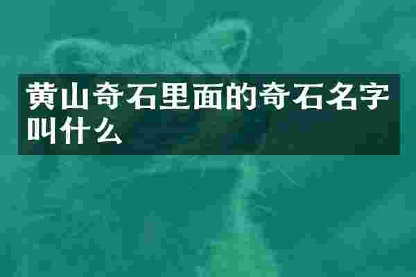 黄山奇石里面的奇石名字叫什么