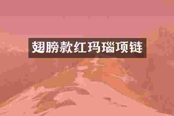 翅膀款红玛瑙项链