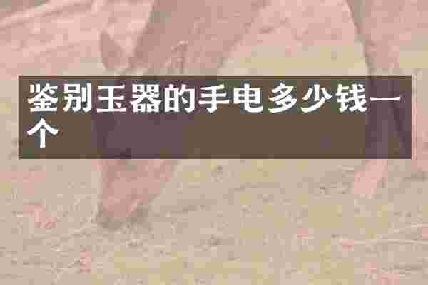鉴别玉器的手电多少钱一个