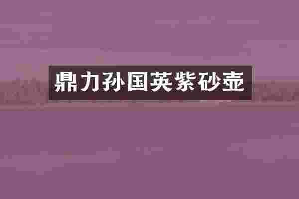 鼎力孙国英紫砂壶