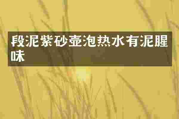 段泥紫砂壶泡热水有泥腥味