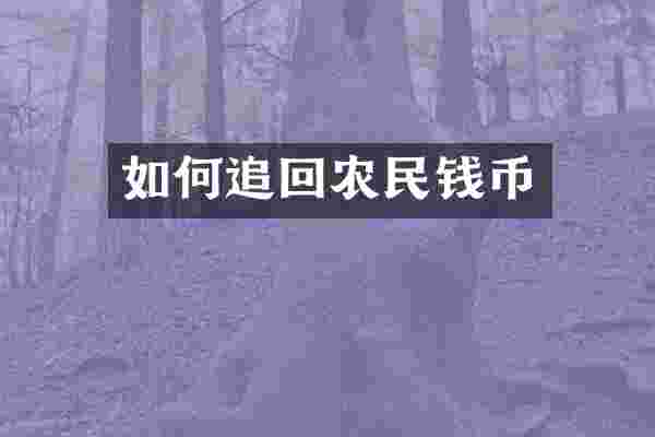 如何追回农民钱币