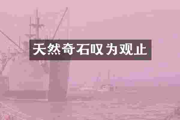 天然奇石叹为观止