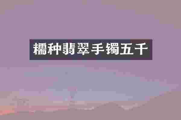 糯种翡翠手镯五千