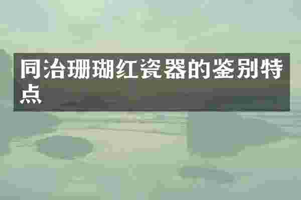 同治珊瑚红瓷器的鉴别特点