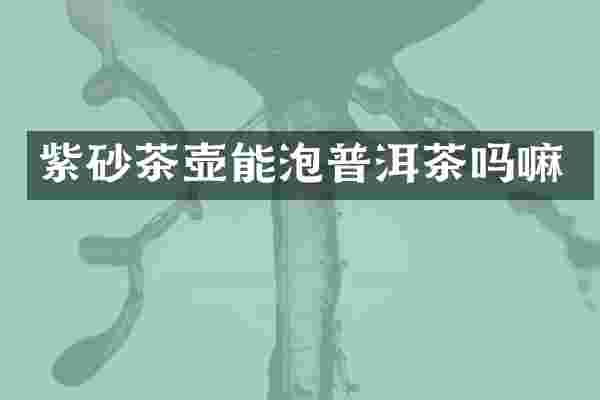 紫砂茶壶能泡普洱茶吗嘛