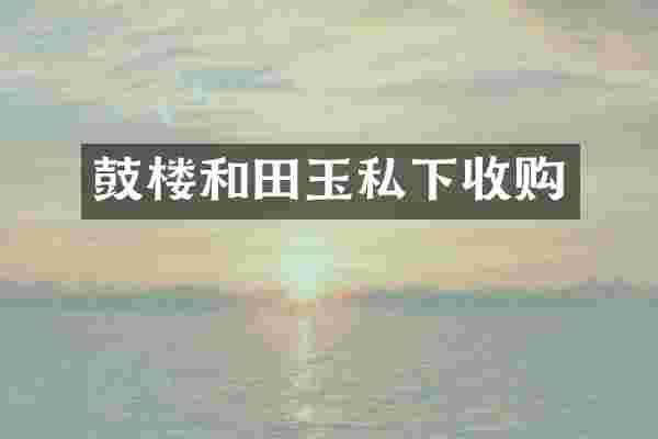 鼓楼和田玉私下收购