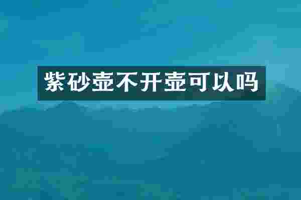 紫砂壶不开壶可以吗
