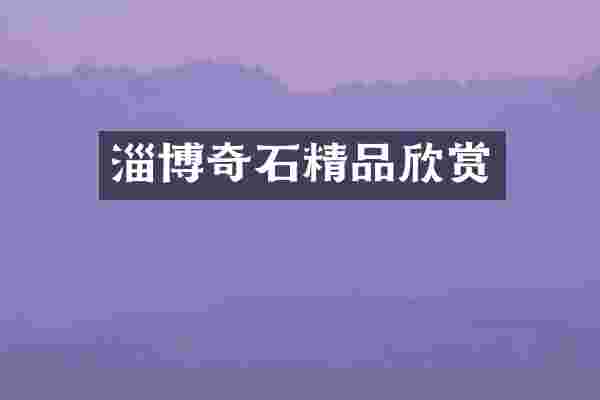 淄博奇石精品欣赏