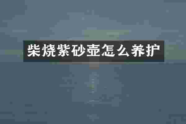 柴烧紫砂壶怎么养护