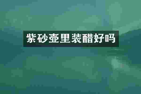 紫砂壶里装醋好吗