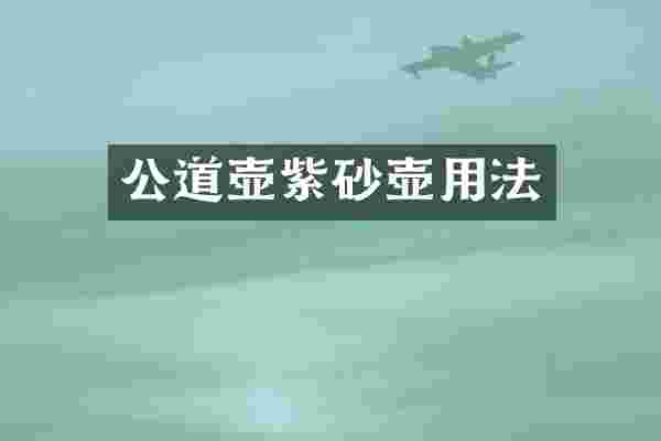 公道壶紫砂壶用法