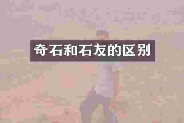 奇石和石友的区别