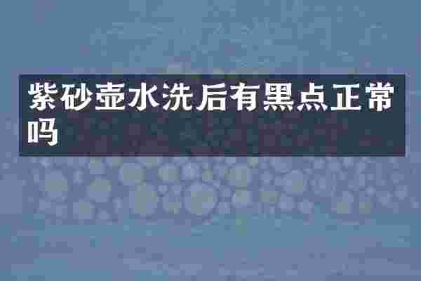 紫砂壶水洗后有黑点正常吗