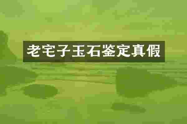 老宅子玉石鉴定真假