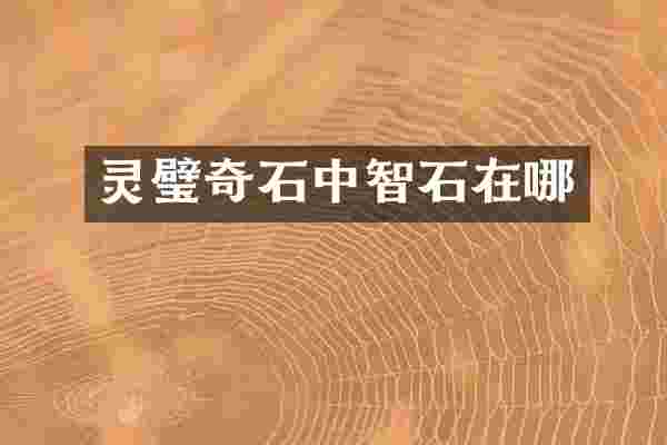 灵璧奇石中智石在哪