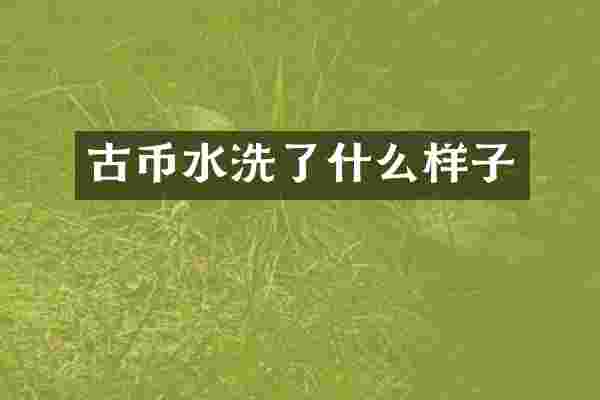 古币水洗了什么样子