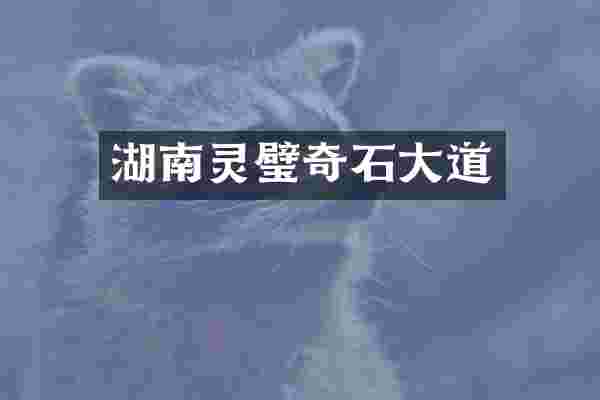 湖南灵璧奇石大道