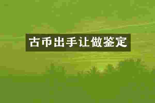 古币出手让做鉴定