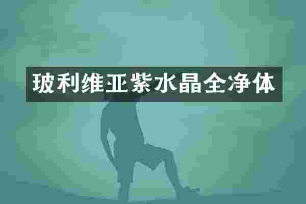 玻利维亚紫水晶全净体