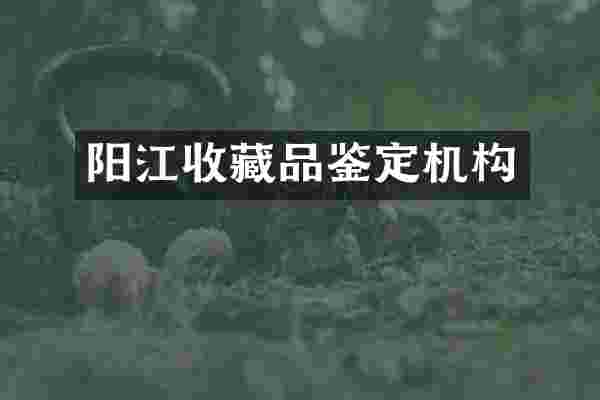 阳江收藏品鉴定机构