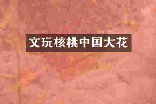 文玩核桃中国大花
