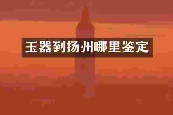 玉器到扬州哪里鉴定