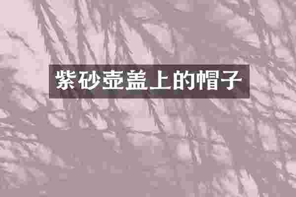 紫砂壶盖上的帽子