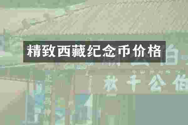 精致西藏纪念币价格