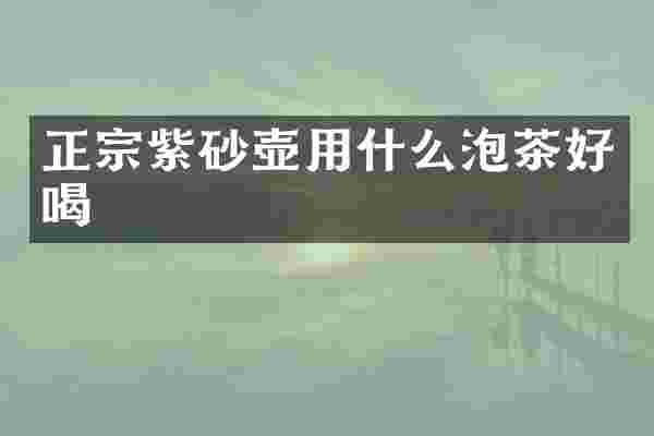 正宗紫砂壶用什么泡茶好喝