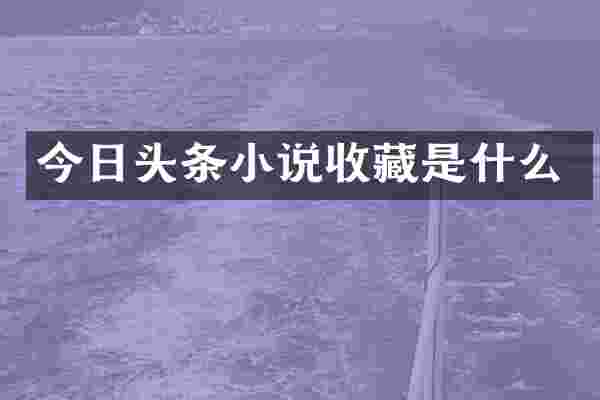 今日头条小说收藏是什么