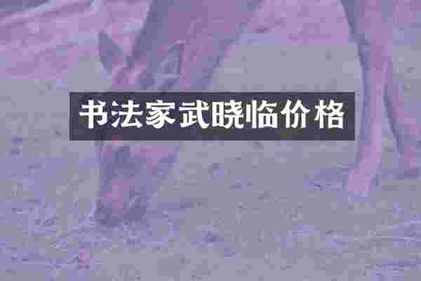 书法家武晓临价格