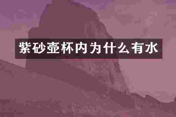 紫砂壶杯内为什么有水