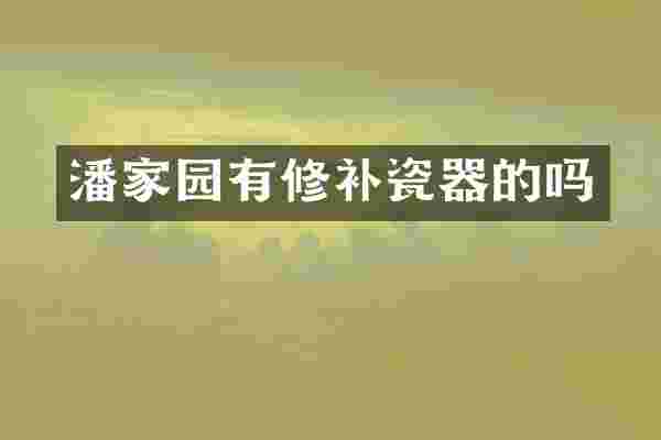 潘家园有修补瓷器的吗