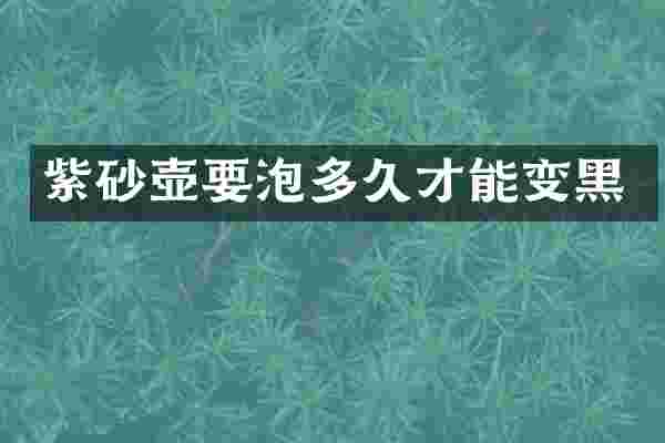 紫砂壶要泡多久才能变黑