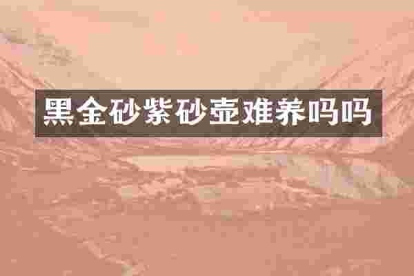 黑金砂紫砂壶难养吗吗