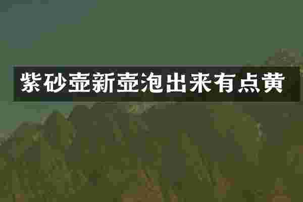 紫砂壶新壶泡出来有点黄