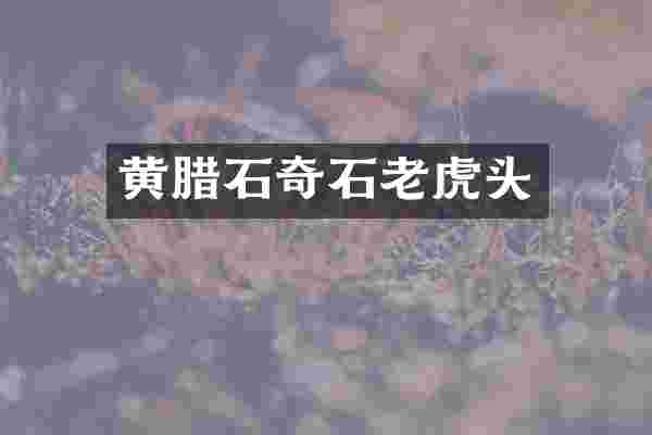 黄腊石奇石老虎头