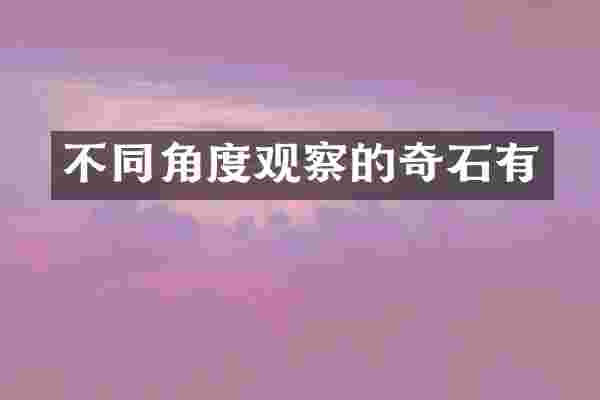 不同角度观察的奇石有