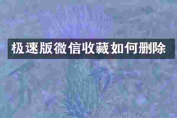 极速版微信收藏如何删除